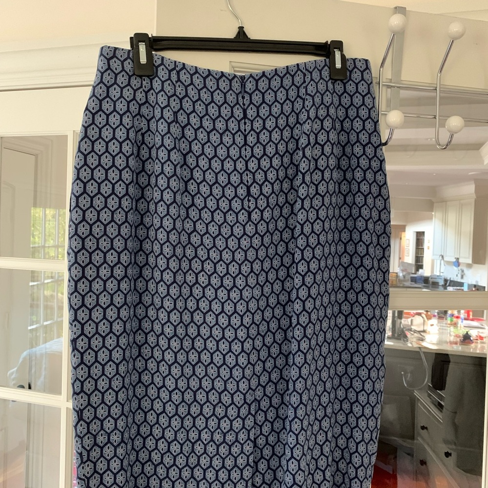 EUC DANA BUCHMAN SILK! Skirt Mid Length Size 12